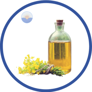 Canola Oil