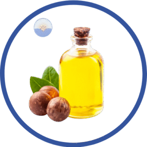 Alsee Oil