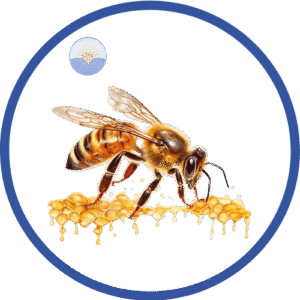 Honey Big Bee Pure